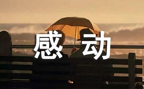 养狗最感动的话 表达对宠物的爱句子