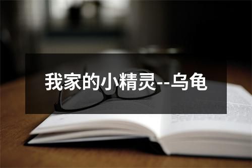 我家的小精灵--乌龟