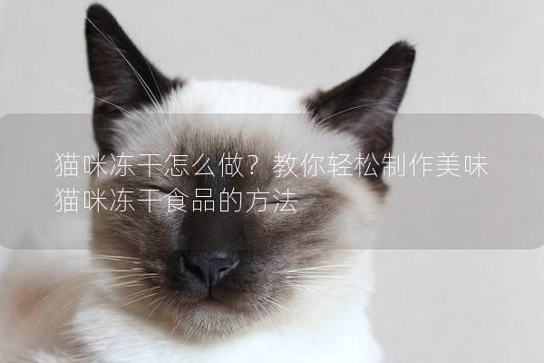 猫咪冻干怎么做？教你轻松制作美味猫咪冻干食品的方法