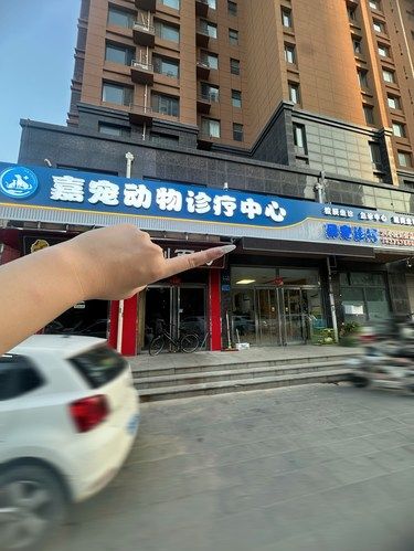 实拍⚠️保定一家24小时急诊宠物店