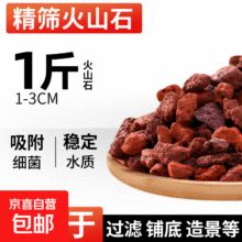 鱼缸火山石溪流石造景底砂养鱼大颗粒滤材水族箱龟多肉 京东物流 火山石1-3cm1斤【精筛鱼缸造景】