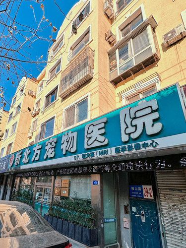 好感度再次提升❗️感谢这家宠物医院