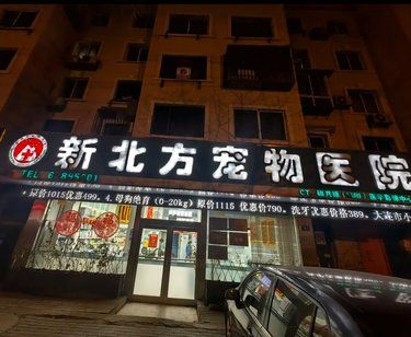 强推！挖到宝藏宠物医院