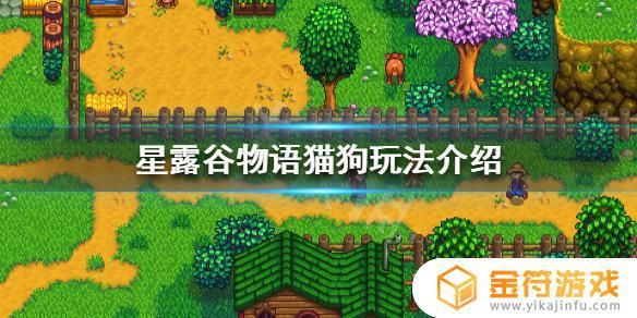 星露谷物语第二只宠物 星露谷物语宠物什么时候来