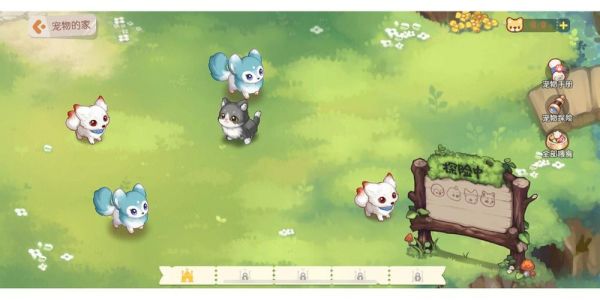 宠物捕捉大师番外下载方法及资源推荐