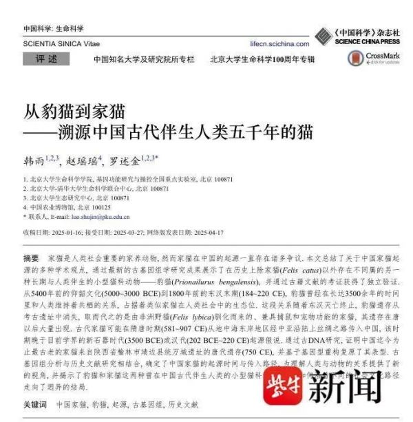 你的“猫主子”竟在隋唐时期才到中国！东汉以前中国“家猫”主要是豹猫