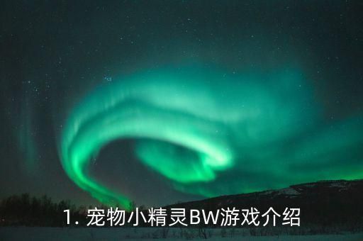 1. 宠物小精灵BW游戏介绍