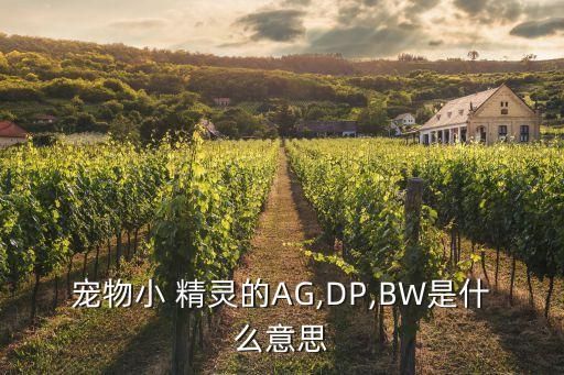 宠物小 精灵的AG,DP,BW是什么意思