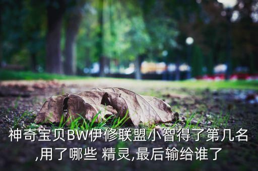 神奇宝贝BW伊修联盟小智得了第几名,用了哪些 精灵,最后输给谁了