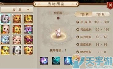 问道手游宠物几倍武学有伤害加成 一般要到二十级