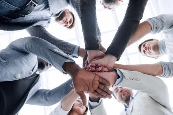 玩物得志年会：宠物与主人的欢乐盛宴图1