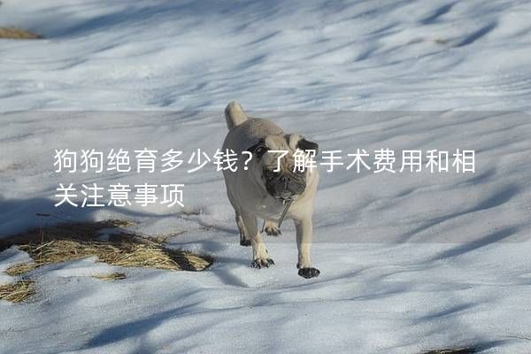 狗狗绝育多少钱？了解手术费用和相关注意事项