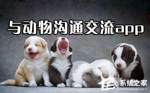 宠物翻译软件哪个好？2018宠物翻译软件推荐