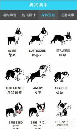 宠物翻译软件哪个好？2018宠物翻译软件推荐