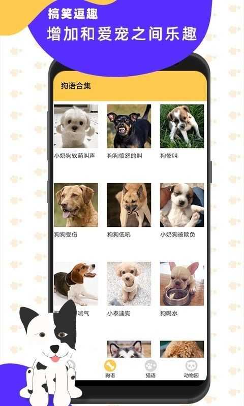 猫狗翻译神器图片1