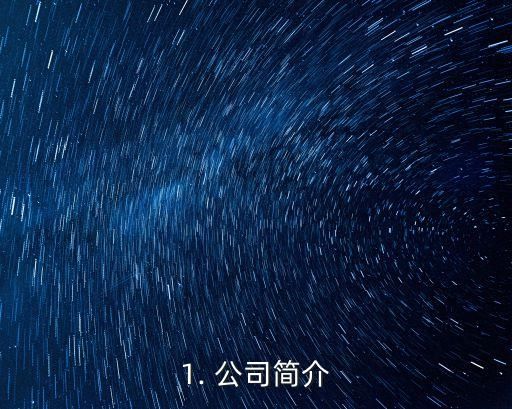 1. 公司简介