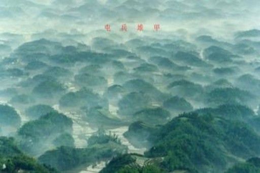 qq飞车宠物名字大全 qq飞车手游宠物图鉴