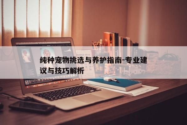 纯种宠物挑选与养护指南-专业建议与技巧解析