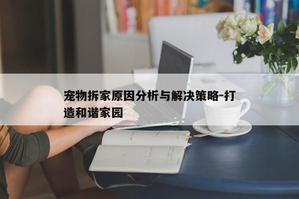 宠物拆家原因分析与解决策略-打造和谐家园
