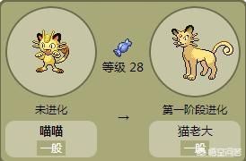 神奇宝贝火箭队的喵喵为什么不能进化？