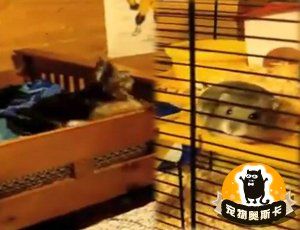 新闻标题新闻标题新