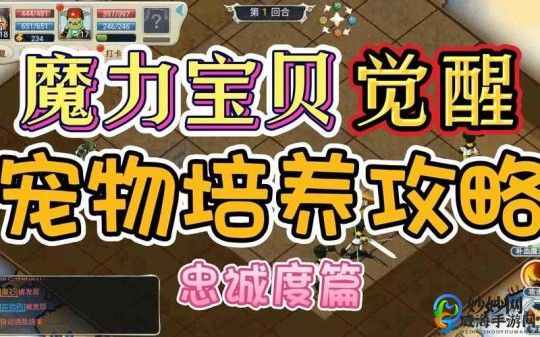 魔力学堂攻略,魔力学堂宠物,魔力学堂手游宠物系统深度解析与养成攻略