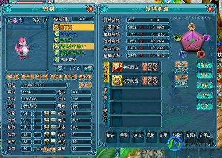 魔力学堂攻略,魔力学堂宠物,魔力学堂手游宠物系统深度解析与养成攻略