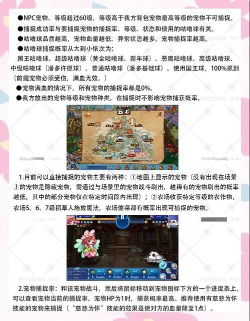 宠物捕捉大师番外攻略快速升级技巧分享