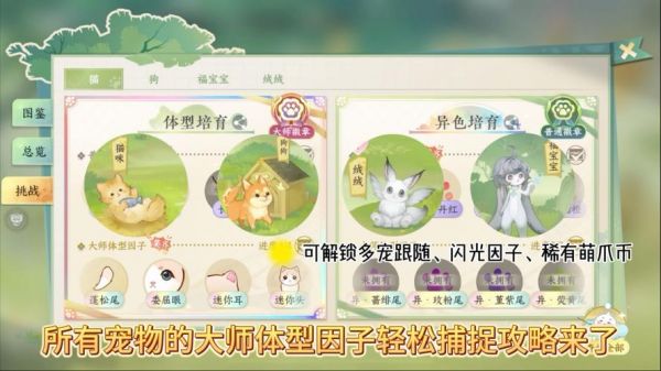 宠物捕捉大师番外攻略快速升级技巧分享
