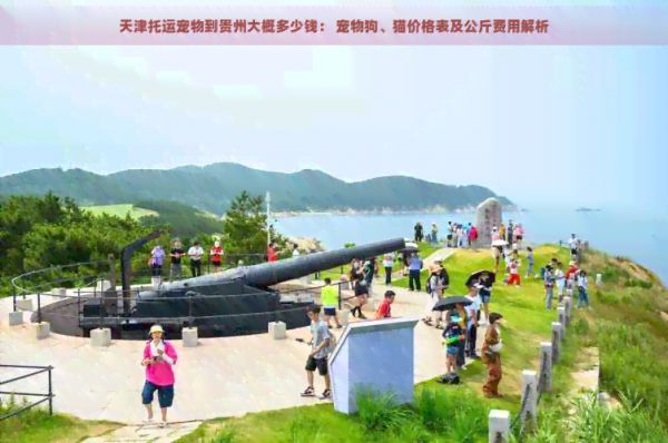 天津托运宠物到贵州大概多少钱： 宠物狗、猫价格表及公斤费用解析