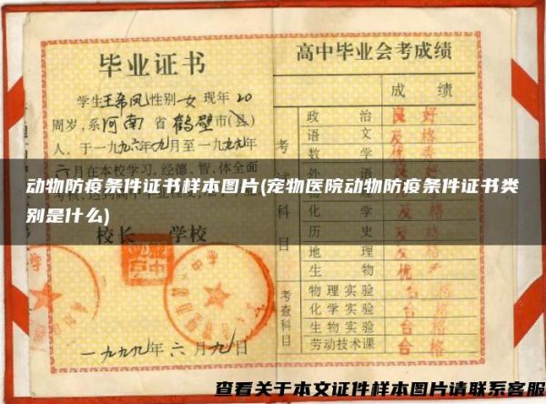 动物防疫条件证书样本图片(宠物医院动物防疫条件证书类别是什么)