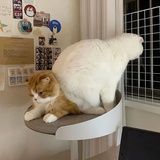 小时候