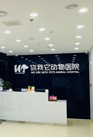 超棒的宠物医院！猫咪绝育体验超级满意！