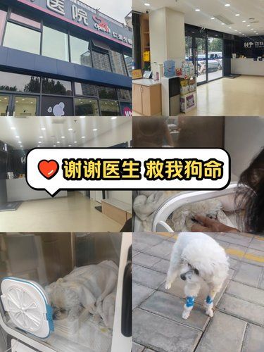 谢谢医院 救我狗命[比心]