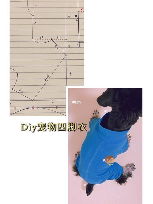 diy宠物四脚衣(附裁剪图)_宠物_diy_小型犬_自制宠物衣服_兴趣爱好