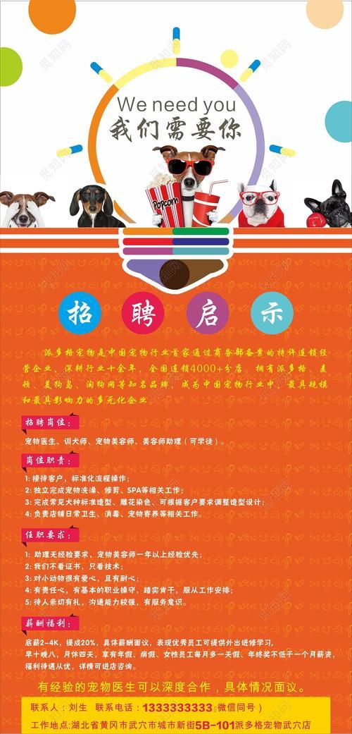 北京宠物店招聘学徒（北京宠物店招聘信息）