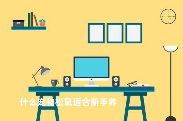 什么宠物松鼠适合新手养