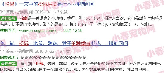 松鼠的种类有多少种