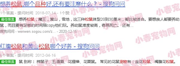 宠物松鼠种类及价格