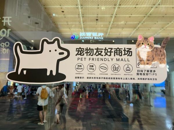 石家庄宠物市场在哪_石家庄宠物市场卖狗猫的地方_石家庄宠物市场