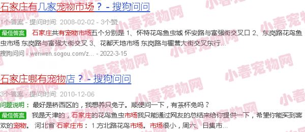 石家庄有没有宠物市场