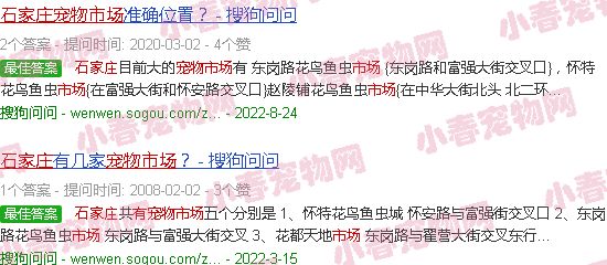 石家庄哪里有宠物交易市场