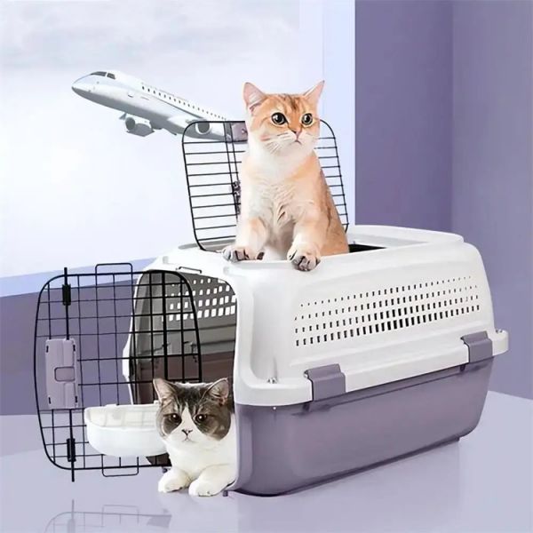 丽江 猫托运 运输有氧舱