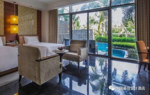 丽江宠物：如何为你的宠物选择最佳住宿？丽江宠物旅馆排行榜