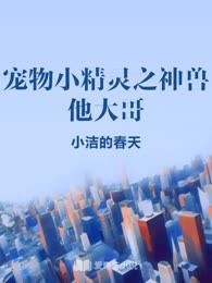 宠物小精灵之神兽他大哥 