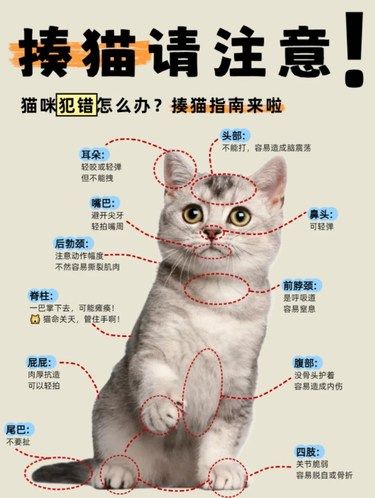 来吧～