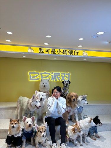 狗狗的快乐，我的快乐