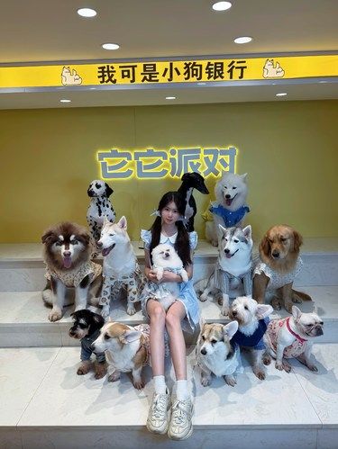 探店它它派对