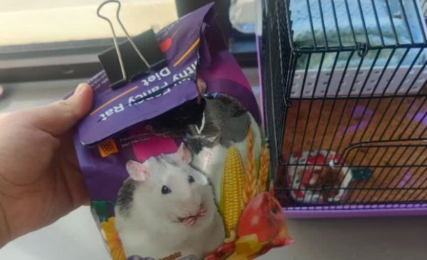 仓鼠粮食品牌哪个好？RM仓鼠粮精准适配仓鼠全生命周期生理需求