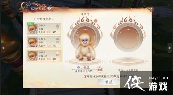 天龙八部2飞龙战天宠物繁育流程